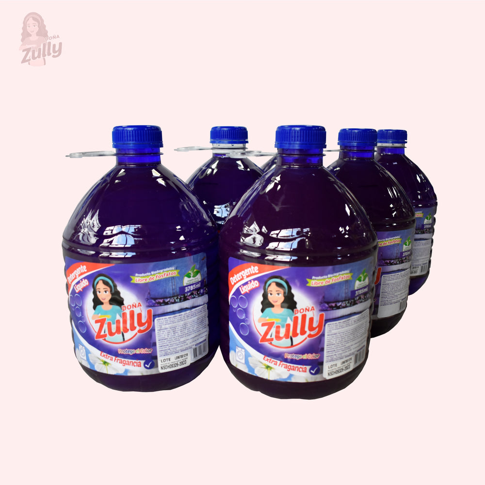 Detergente Liquido X 6 UND