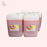 Limpiador Multiusos Antibacterial Canela X 6 UND